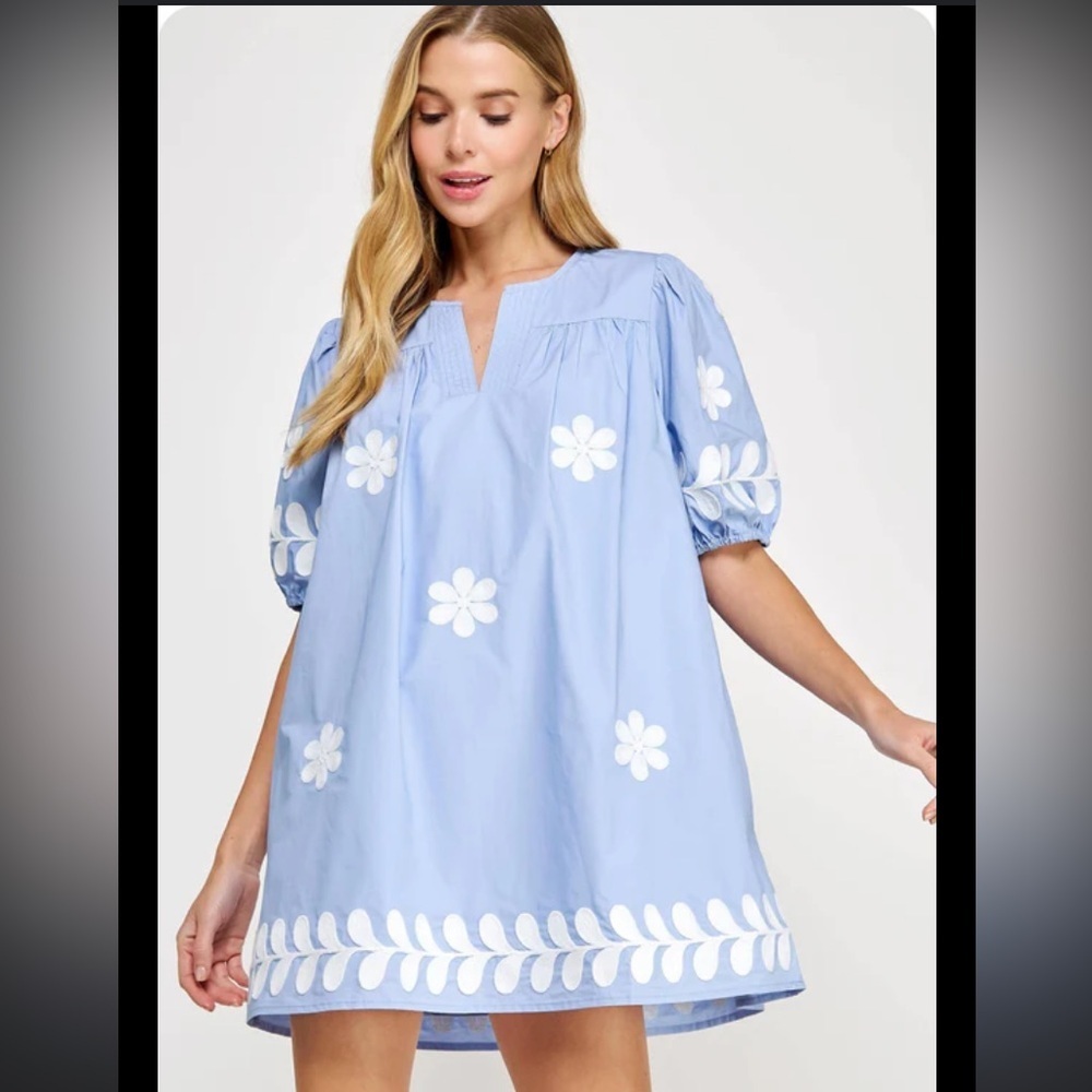 Strut & bolt floral embroidered mini poplin dress $130 S fall party preppy boho